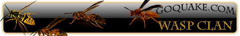 a WASP banner